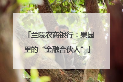 兰陵农商银行：果园里的“金融合伙人”