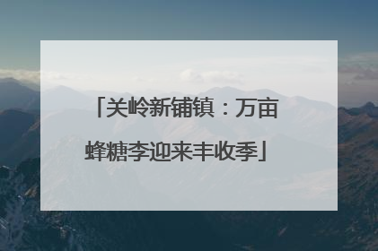 关岭新铺镇：万亩蜂糖李迎来丰收季