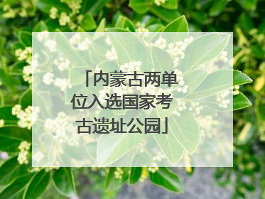 内蒙古两单位入选国家考古遗址公园