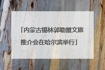 内蒙古锡林郭勒盟文旅推介会在哈尔滨举行