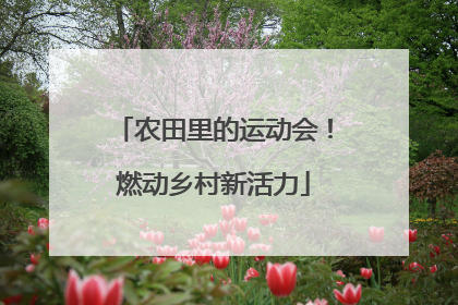农田里的运动会！燃动乡村新活力