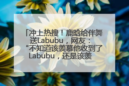 冲上热搜！鹿晗给伴舞送Labubu，网友：“不知道该羡慕他收到了Labubu，还是该羡慕鹿晗送他礼物”