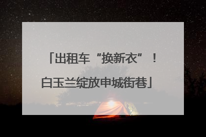 出租车“换新衣”！白玉兰绽放申城街巷