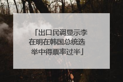 出口民调显示李在明在韩国总统选举中得票率过半
