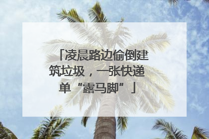 凌晨路边偷倒建筑垃圾，一张快递单“露马脚”