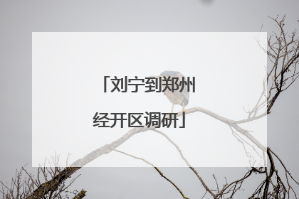 刘宁到郑州经开区调研