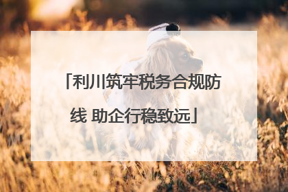 利川筑牢税务合规防线 助企行稳致远