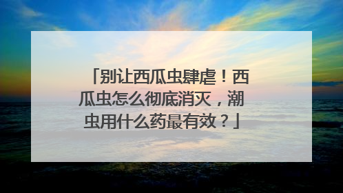 别让西瓜虫肆虐！西瓜虫怎么彻底消灭，潮虫用什么药最有效？