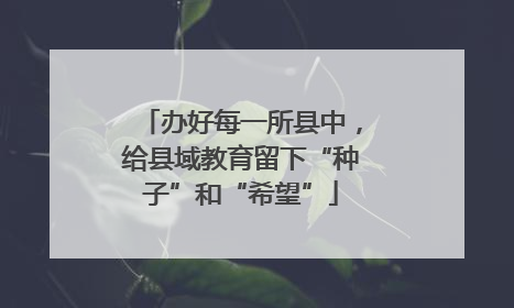 办好每一所县中，给县域教育留下“种子”和“希望”