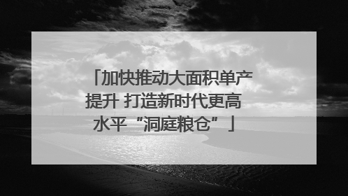 加快推动大面积单产提升 打造新时代更高水平“洞庭粮仓”