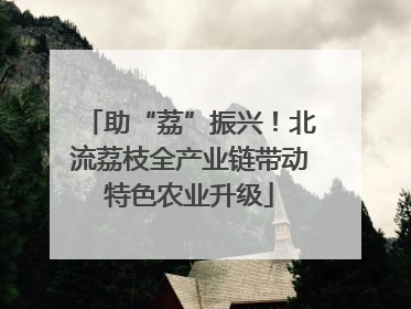 助“荔”振兴！北流荔枝全产业链带动特色农业升级