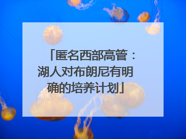 匿名西部高管：湖人对布朗尼有明确的培养计划