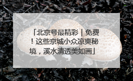 北京号最精彩｜免费！这些京城小众凉爽秘境，溪水清透美如画