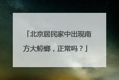 北京居民家中出现南方大蟑螂，正常吗？
