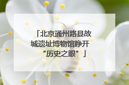 北京通州路县故城遗址博物馆睁开“历史之眼”