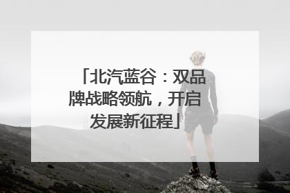 北汽蓝谷：双品牌战略领航，开启发展新征程