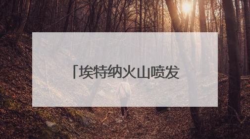 埃特纳火山喷发 约40名游客紧急撤离 温度极高感觉要被烤焦了