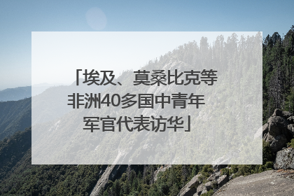 埃及、莫桑比克等非洲40多国中青年军官代表访华