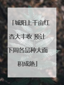 城阳上千亩红杏大丰收 预计下周各品种大面积成熟