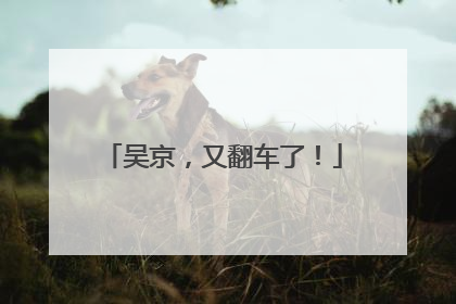 吴京，又翻车了！