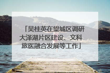 吴桂英在望城区调研大泽湖片区建设、文科旅医融合发展等工作