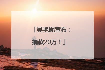 吴艳妮宣布：捐款20万！