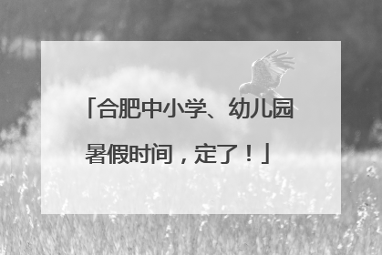 合肥中小学、幼儿园暑假时间，定了！