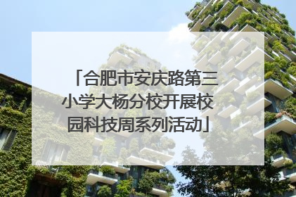 合肥市安庆路第三小学大杨分校开展校园科技周系列活动
