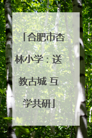 合肥市杏林小学：送教古城 互学共研