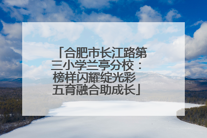 合肥市长江路第三小学兰亭分校：榜样闪耀绽光彩 五育融合助成长