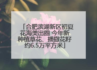 合肥滨湖新区初夏花海美出圈 今年新种植草花、播撒花籽约6.5万平方米