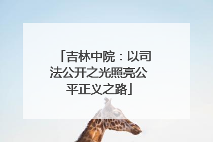 吉林中院：以司法公开之光照亮公平正义之路