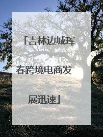 吉林边城珲春跨境电商发展迅速