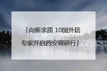 向新求质 10国外籍专家开启西安调研行