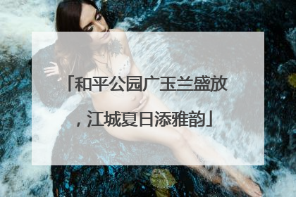 和平公园广玉兰盛放，江城夏日添雅韵