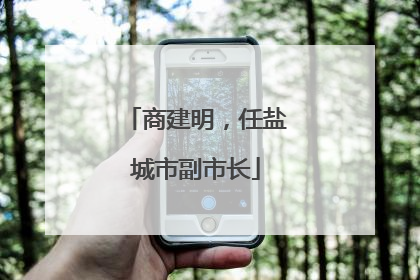 商建明，任盐城市副市长