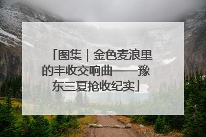 图集｜金色麦浪里的丰收交响曲——豫东三夏抢收纪实