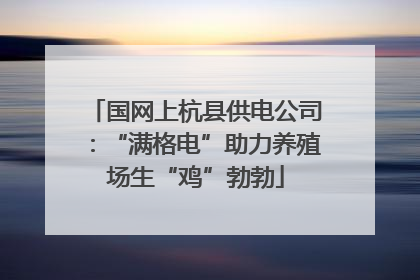 国网上杭县供电公司：“满格电”助力养殖场生“鸡”勃勃
