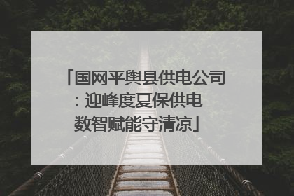国网平舆县供电公司：迎峰度夏保供电  数智赋能守清凉