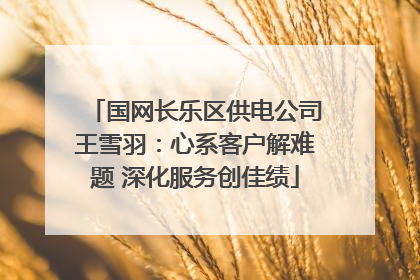 国网长乐区供电公司王雪羽：心系客户解难题 深化服务创佳绩