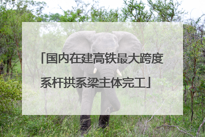 国内在建高铁最大跨度系杆拱系梁主体完工