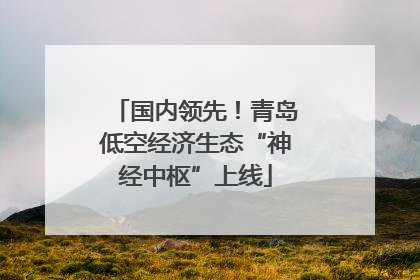 国内领先！青岛低空经济生态“神经中枢”上线
