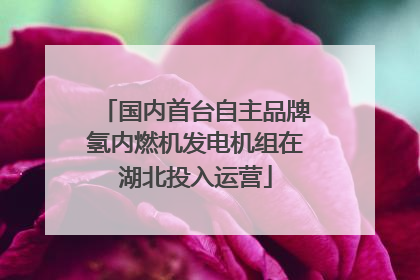 国内首台自主品牌氢内燃机发电机组在湖北投入运营