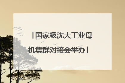 国家级沈大工业母机集群对接会举办