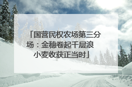 国营民权农场第三分场：金穗卷起千层浪 小麦收获正当时
