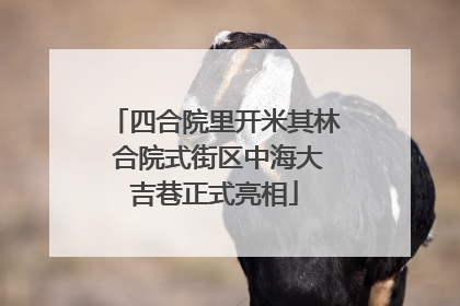 四合院里开米其林 合院式街区中海大吉巷正式亮相