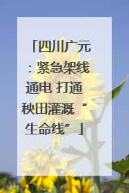 四川广元：紧急架线通电 打通秧田灌溉“生命线”