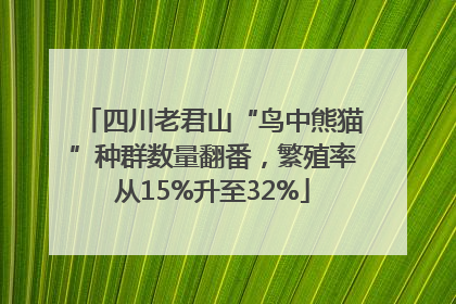 四川老君山“鸟中熊猫”种群数量翻番，繁殖率从15%升至32%