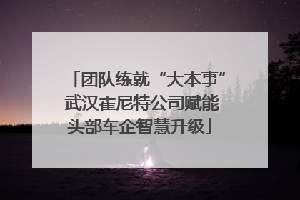 团队练就“大本事” 武汉霍尼特公司赋能头部车企智慧升级