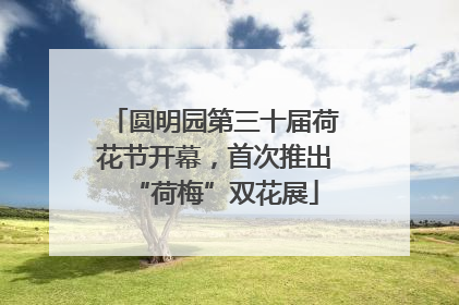 圆明园第三十届荷花节开幕，首次推出“荷梅”双花展